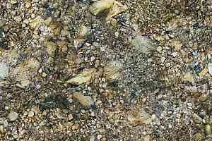 Ковролин ForboFlotex Vision Image 000368 Riverbed фото  | FLOORDEALER